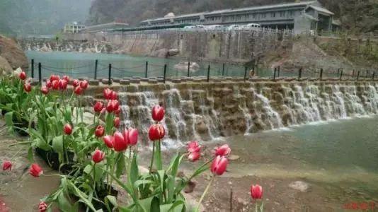 结婚要考虑些什么问题，怎么样才能结婚？游戏画面